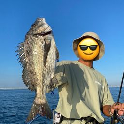 チヌ