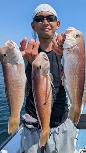 相模湾
