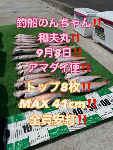 シロアマダイの釣果