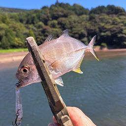 メッキ