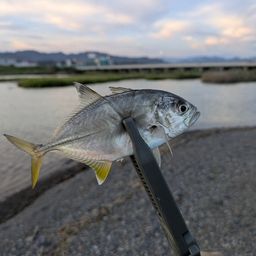 メッキ