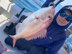 タイの釣果