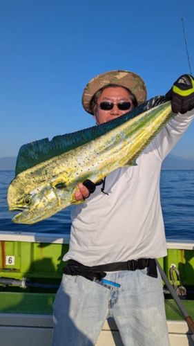 相模湾東