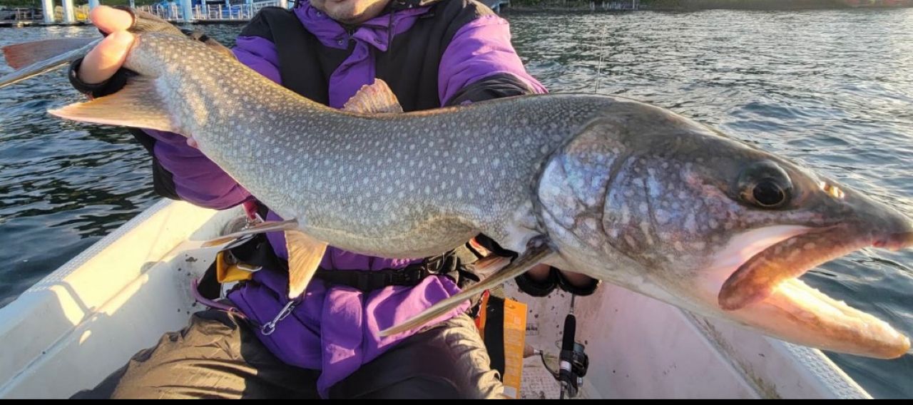 レイクトラウト