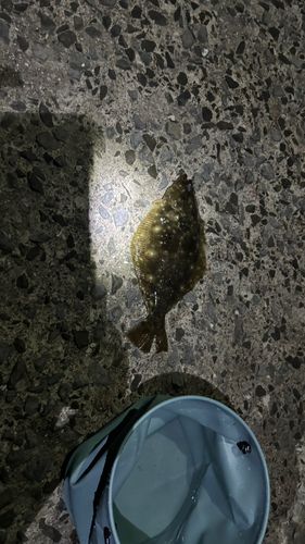 鰺ヶ沢漁港