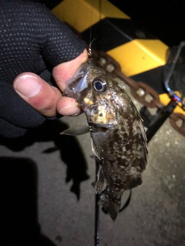 秋田火力発電所前