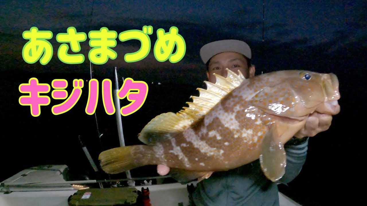 アコウ