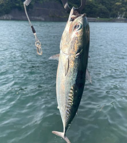 江浦湾