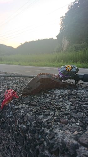 七尾南湾
