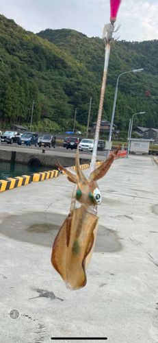 釣姫漁港