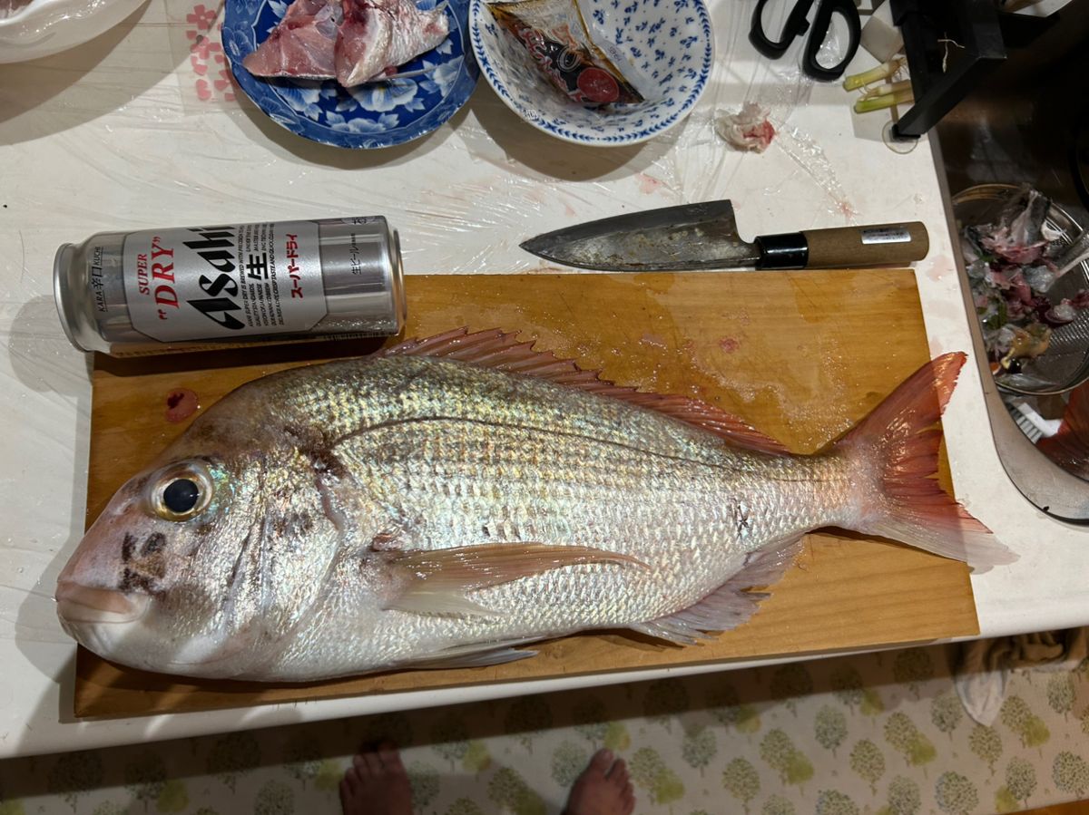 釣り吉どん兵衛さんの釣果 2枚目の画像