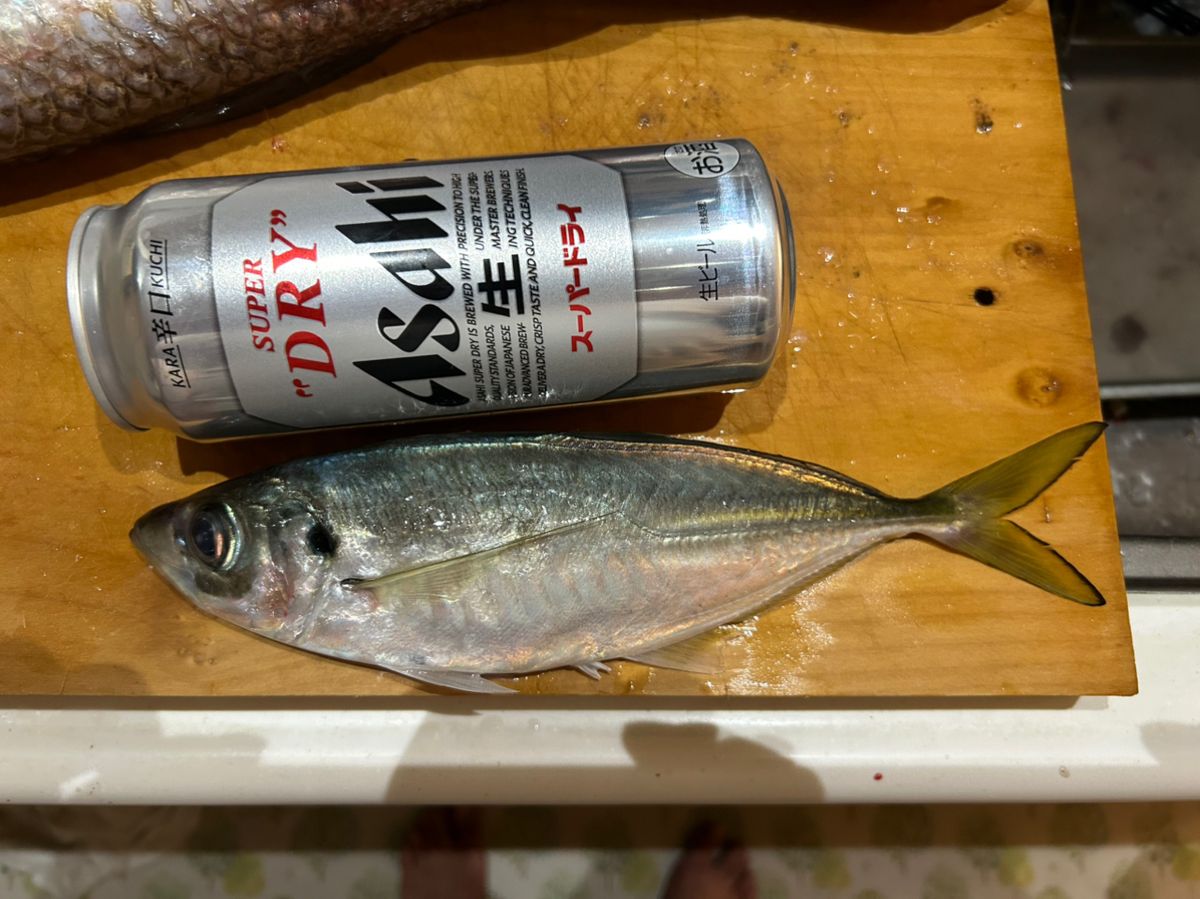 釣り吉どん兵衛さんの釣果 2枚目の画像