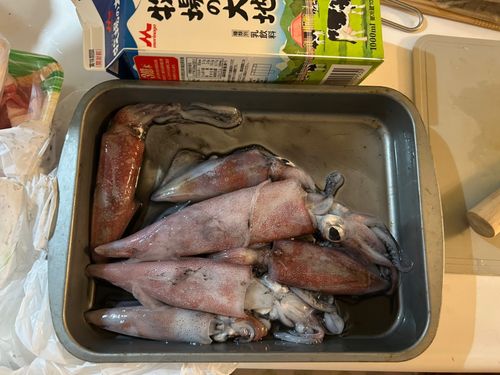 浜田沖