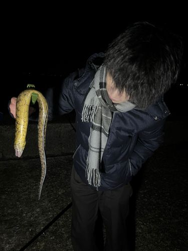 木負堤防