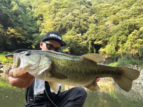 阿武川ダム