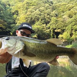 ブラックバス