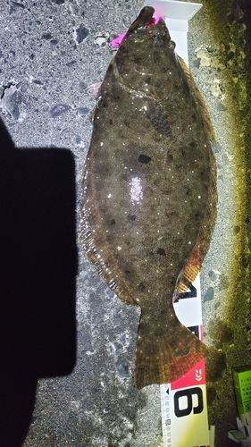 石狩湾新港