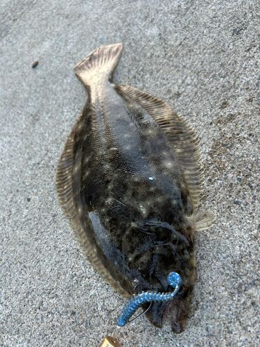 噴火湾