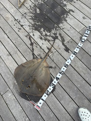 小名浜港アクアマリンふくしま周辺