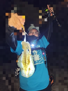 アオリイカの釣果