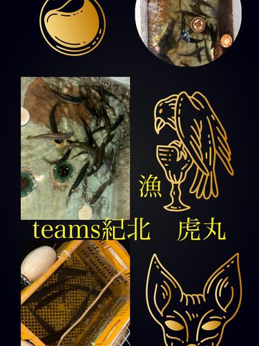 大阪湾