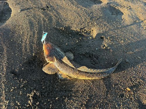 白川下流