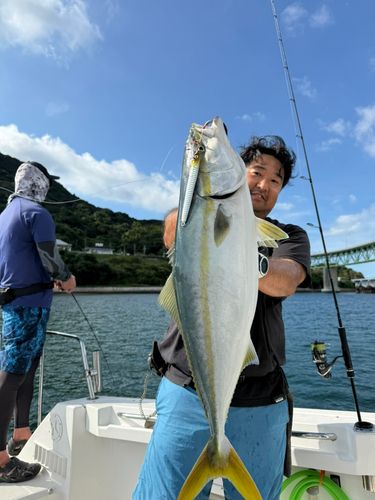 ハマチの釣果