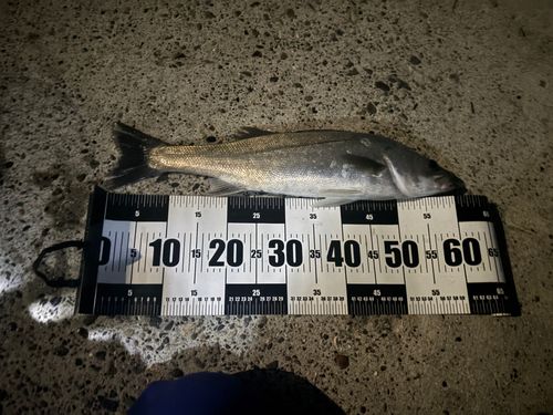 網代浜海水浴場
