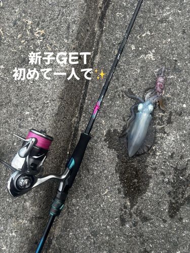 向灘波止