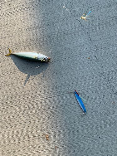 南芦屋浜ベランダ
