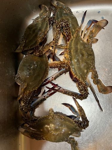 色内埠頭