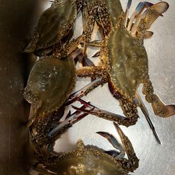 ワタリガニ