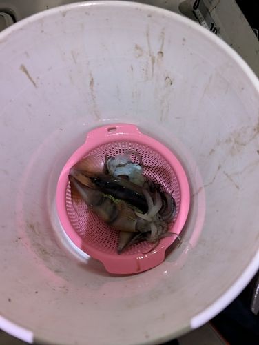津軽海峡