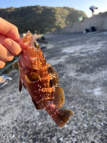 唐津湾