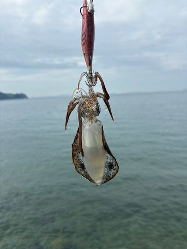 下蒲刈島