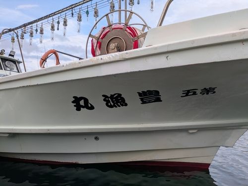 スルメイカの釣果