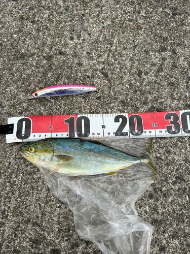 津軽海峡