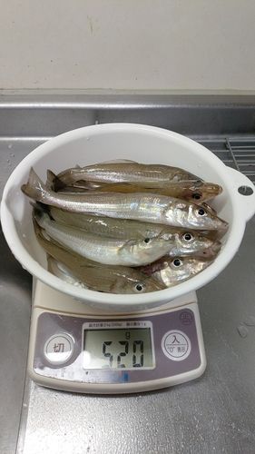 今津湾