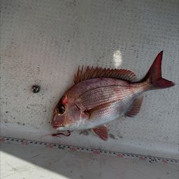 タイ