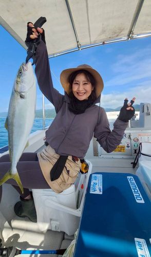 オオニベの釣果