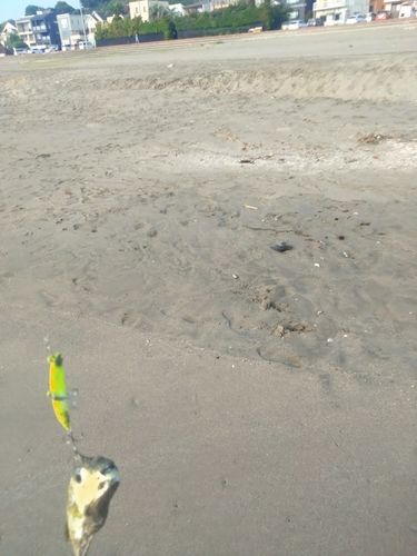 三浦海岸