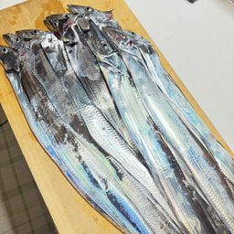 タチウオ
