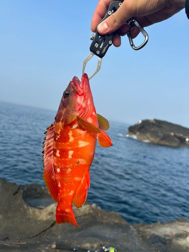 宮川湾
