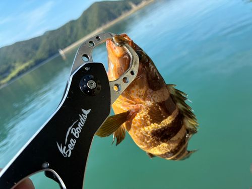 釣姫漁港