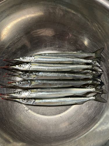 鳴尾浜臨海公園海づり広場