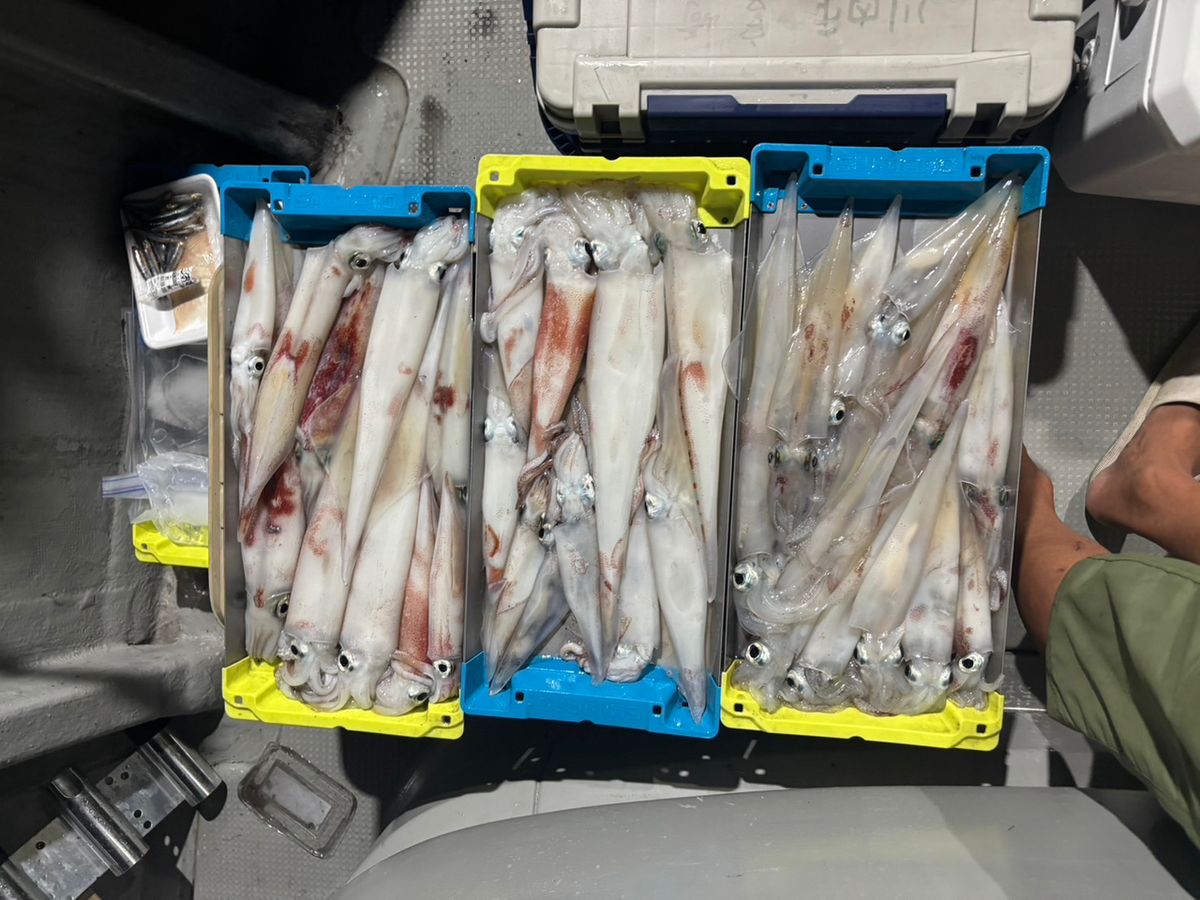 田畑良朗@なつき丸さんの釣果 2枚目の画像