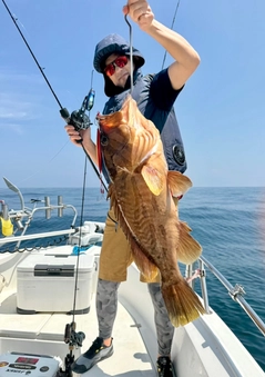 ホウキハタの釣果