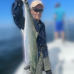 サワラ