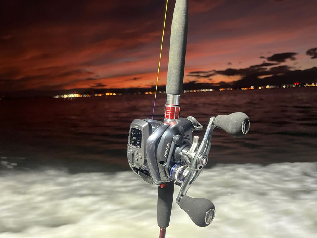 BOZUさんの釣果 2枚目の画像