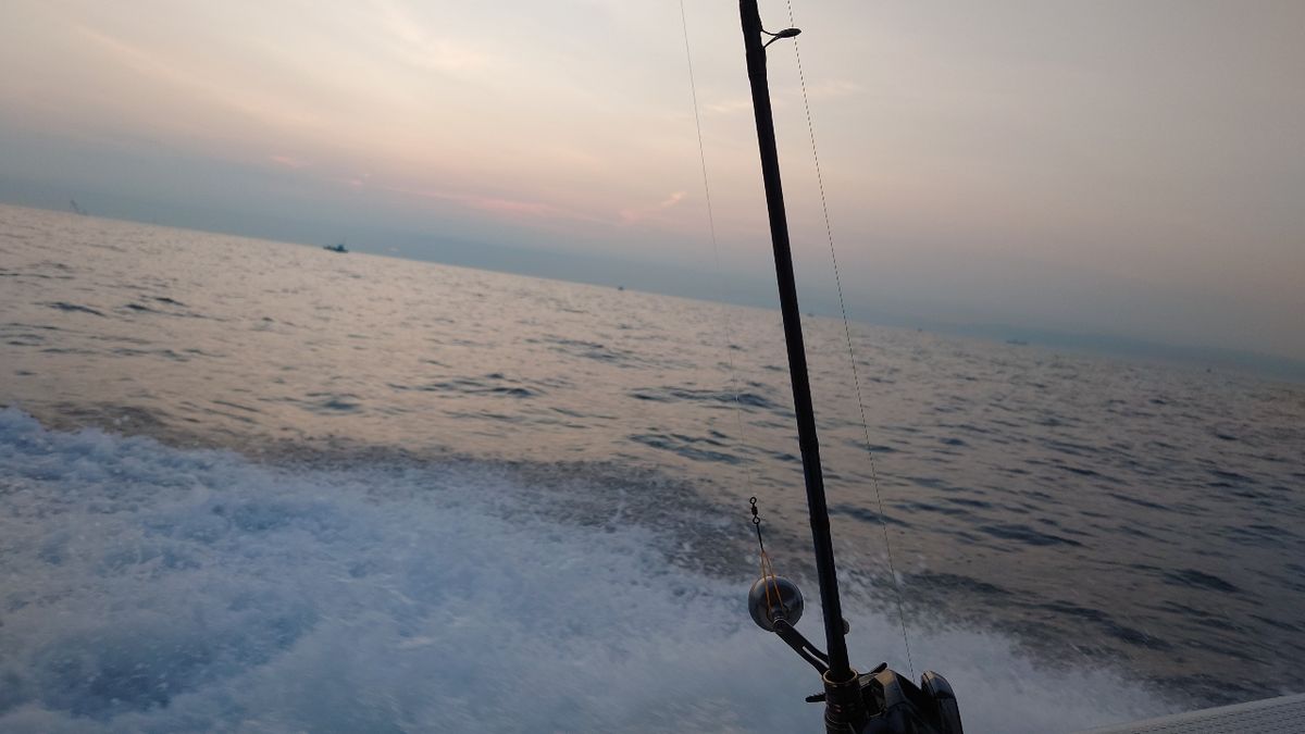 ケロリン🐸さんの釣果 1枚目の画像